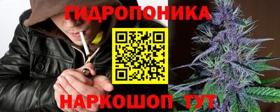 ГАЛЛЮЦИНОГЕННЫЕ ГРИБЫ Гусь-Хрустальный