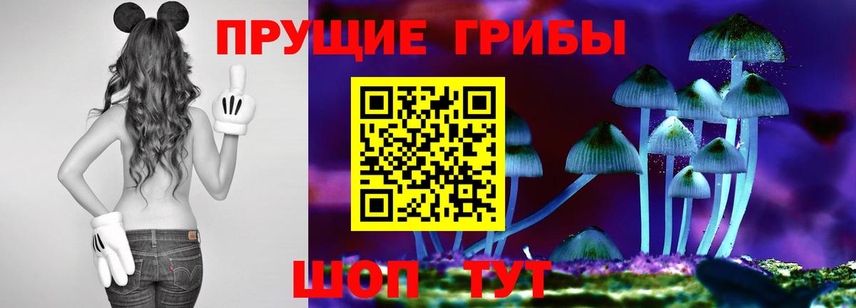 Галлюциногенные грибы MAGIC MUSHROOMS  Вход с VPN  Дагестанские Огни  Галлюциногенные грибы мицелий 
